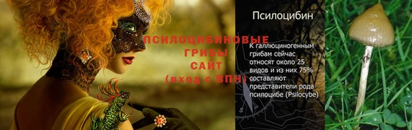 крисы Алексеевка
