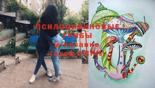 молекула духа Алзамай