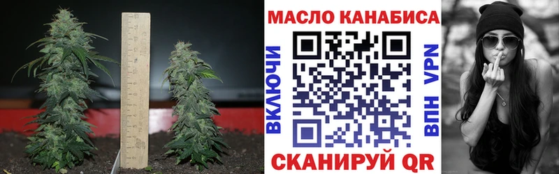 OMG ССЫЛКА  Дно  Дистиллят ТГК вейп  где купить наркоту 